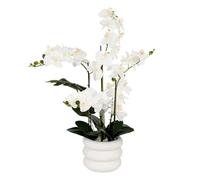 Paris Prix Atmosphera Créateur d'intérieur - Orchidée Artificielle en Pot Mick 80cm Blanc