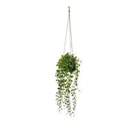 Paris Prix Atmosphera Créateur d'intérieur - Plante Artificielle à Suspendre Living 62cm Vert