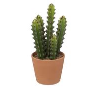 Paris Prix Atmosphera Créateur d'intérieur - Plante Artificielle Cactus Alicante 30cm Vert