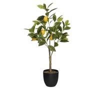 Paris Prix Atmosphera Créateur d'intérieur - Plante Artificielle Citronnier 73cm Multicolore