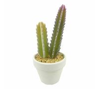 Paris prix Cactus artificiel - Blanc