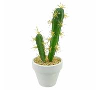 Paris prix Cactus artificiel - Blanc