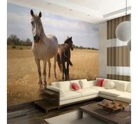 Paris Prix Cheval & Poulain Papier Peint