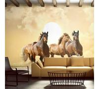 Paris Prix Chevaux au Galop - 193x250