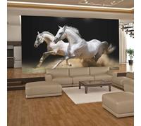 Paris Prix Chevaux au Galop sur du Sable