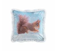 Paris prix Coussin velours écureuil - 40x40 cm - Bleu