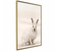 Paris Prix Curious Rabbit - 20 x 30 cm Or