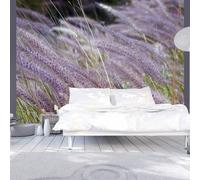 Paris Prix Dans un Champ D'herbes Folles