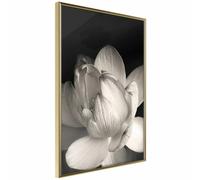 Paris prix Delicacy Of A Flower - 30 cm
