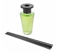 Paris Prix Diffuseur 100 ml - Vert