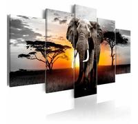 Paris Prix Elephant at Sunset