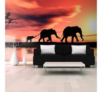 Paris Prix Elephants