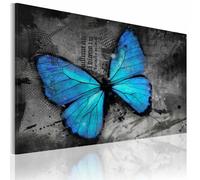 Paris Prix Etude D'un Papillon 80 x 120 cm