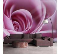 Paris Prix Fleur Rose Rose III
