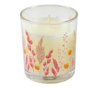 Paris prix Harmonie 8cm Romance Florale - Beige