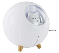 Paris Prix Led Chat