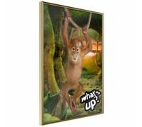 Paris prix Life in the Jungle - 21 cm