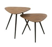 Paris prix Lot 2 tables d'appoint teck - Naturel