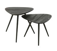 Paris prix Lot de 2 tables d'appoint teck - Noir