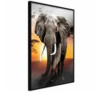 Paris Prix Majestic Elephant