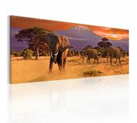 Paris prix March of african elephants - 00.00x0 cm