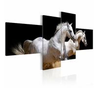 Paris prix Monde des animaux chevaux au galop - 0 x 0 cm