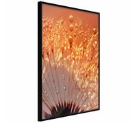 Paris Prix Orange Breath of the Summer - 20 x 30 cm - Noir