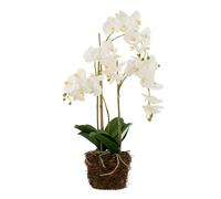 Paris prix Orchidée artificielle - Blanc