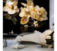 Paris Prix Orchids in Ecru Color