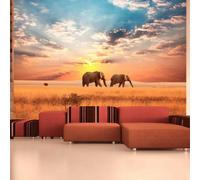 Paris Prix Papier Peint Éléphants Savane Afrique