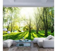 Paris Prix Papier Peint Sunny May Day 175 x 250 cm