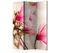 Paris prix Paravent 3 volets magnolia - Multicolore