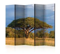 Paris prix Paravent 5 volets acacia - Multicolore
