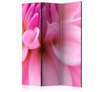 Paris prix Paravent Flower Petals Dahlia - Multicolore