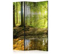 Paris prix Paravent Forest Lake - Multicolore