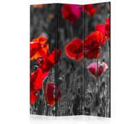 Paris prix Paravent Red Poppies - Multicolore