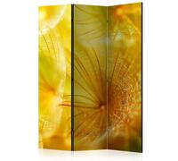 Paris prix Paravent Soft Dandelion Flower - Multicolore