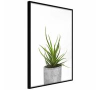 Paris prix Piece of Nature I - 30 cm