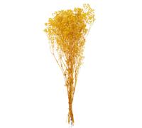 Paris prix Plante artificielle d'intérieur - Jaune