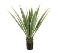Paris prix Plante artificielle succulente - Vert