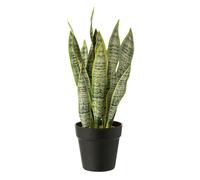 Paris prix Plante artificielle - Vert