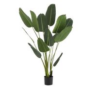 Paris prix Plante artificielle - Vert & noir