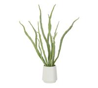 Paris prix Plante succulente artificielle - Vert