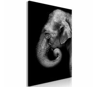 Paris Prix Portrait of Elephant