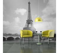 Paris Prix Seine & Tour Eiffel 193x250