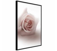 Paris Prix Subtle Flower - 40x60 cm