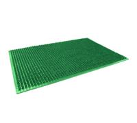 Paris Prix Tapis d'Entrée Grattoir 38x58cm Vert