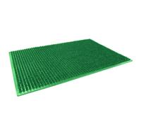 Paris Prix Tapis d'Entrée Vert