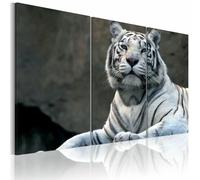 Paris prix Tigre Blanc - Toile murale