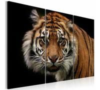 Paris Prix Tigre Prédateur